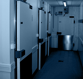 Froid<br />industriel - Projet de retrofit, de création, de maintenance d'installations, Action Froid se positionne aux côtés des industriels dans la maîtrise de leurs coûts d'exploitation.